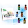 AROMATIZANTE KIT 6 BLEND ESSENCES REPUESTOS P/DIFUSOR 10 ML UNFORGETTABLE EDITION