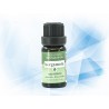 ACEITE SENSAODOR FRACCIONADO 10 ML AROMA BERGAMOTA