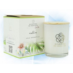 VELA AROMATICA AROMAS DE...